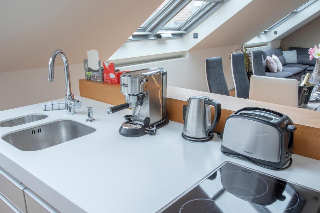 Luxury Duplex With Terrace Lejlighed Prag