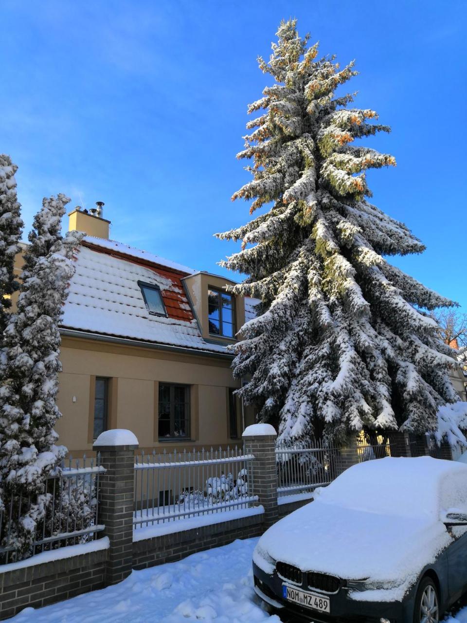 Krocinka Prag
