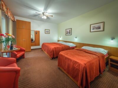 Seifert Hotel 4*