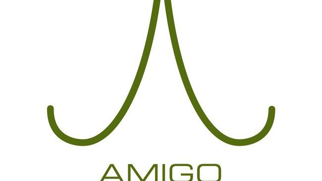 Amigo City Centre 4*