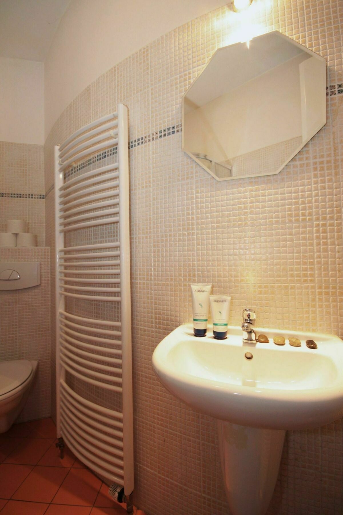 V Lesicku Apartment *