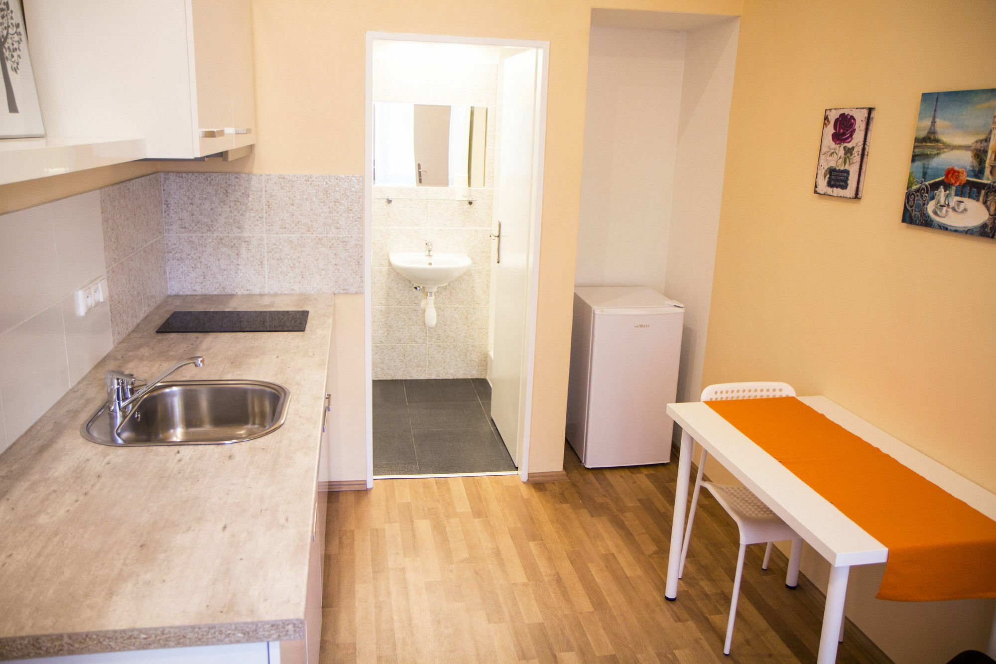 Apartment Lidicka Prag