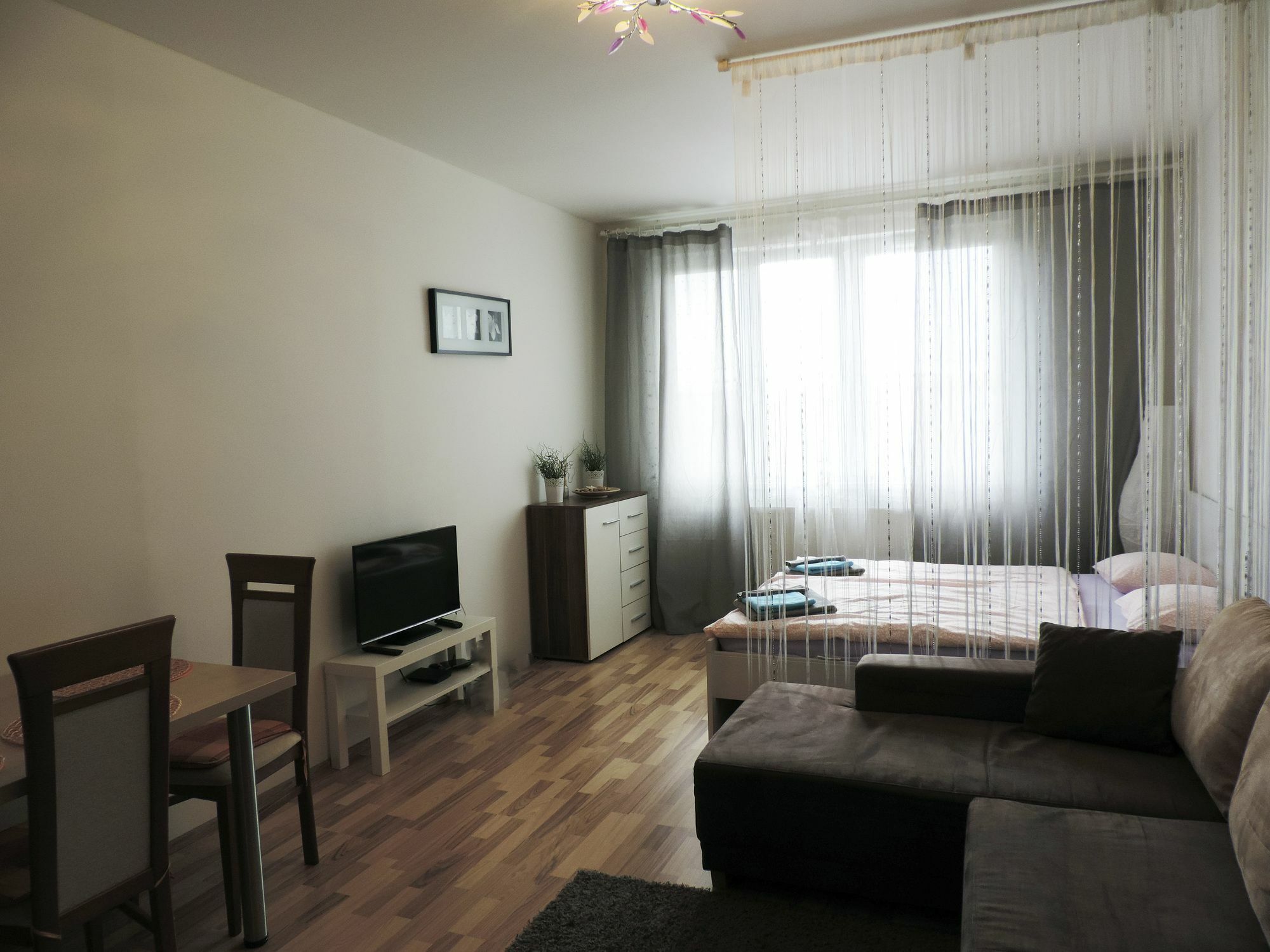 Freyova 25 *