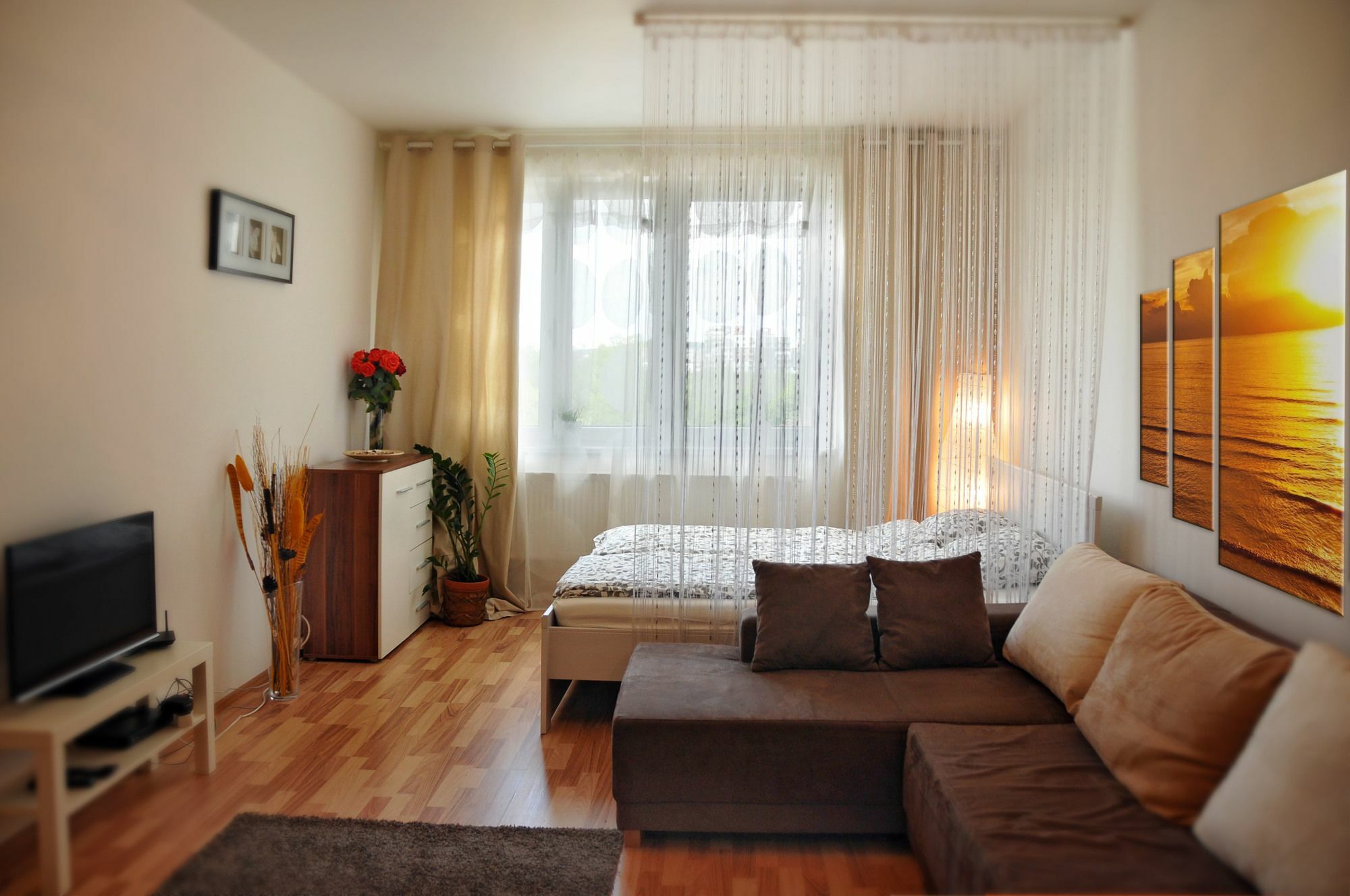 Freyova 25 *