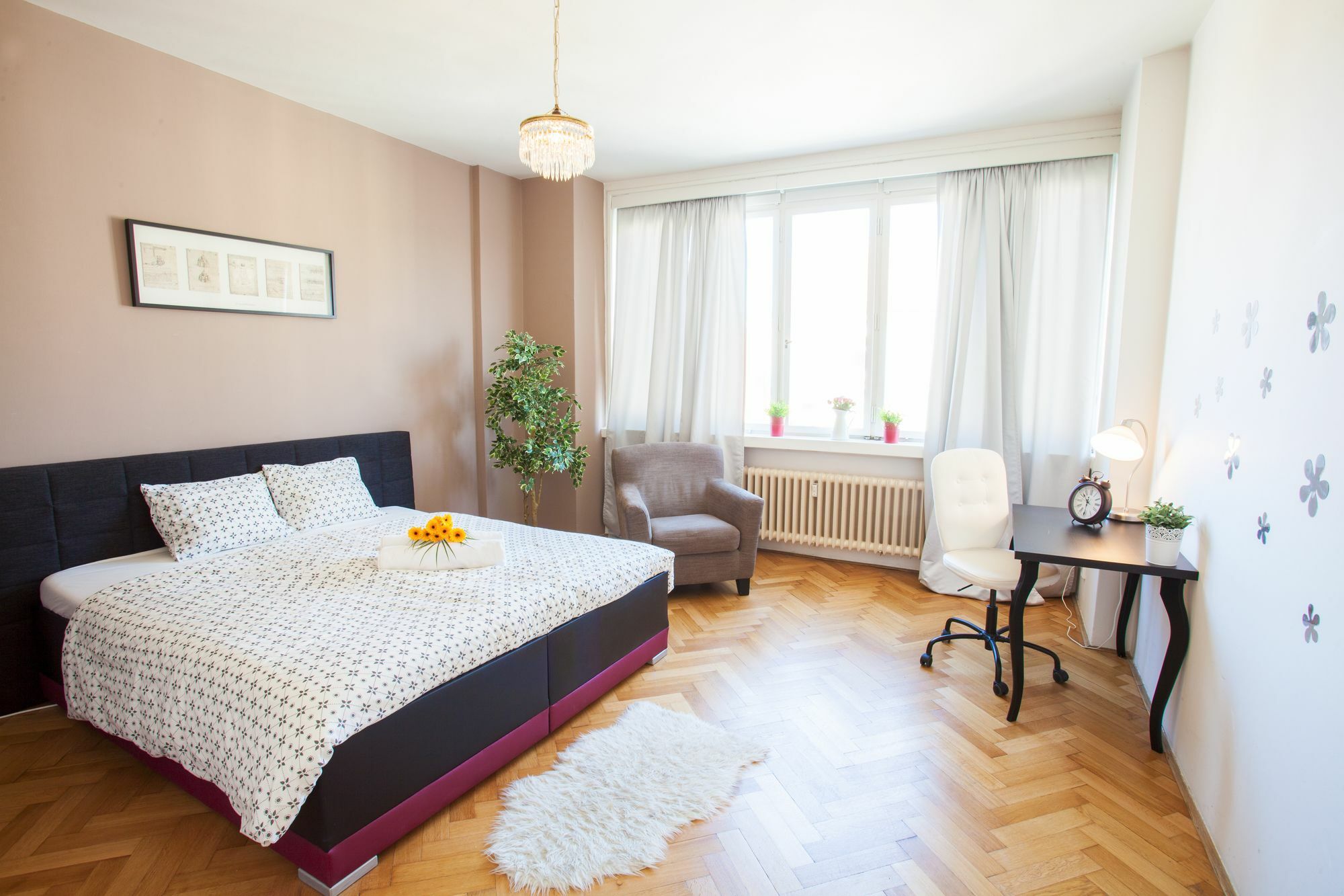 Apartment Lovely In Center