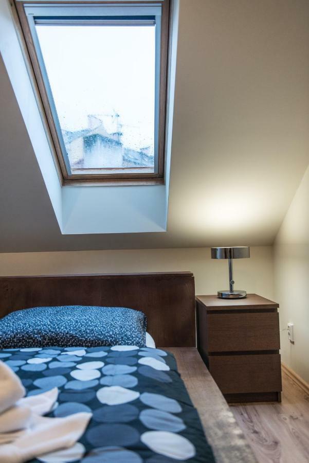 Spacious And Quiet Attic Flat In Centre Prag