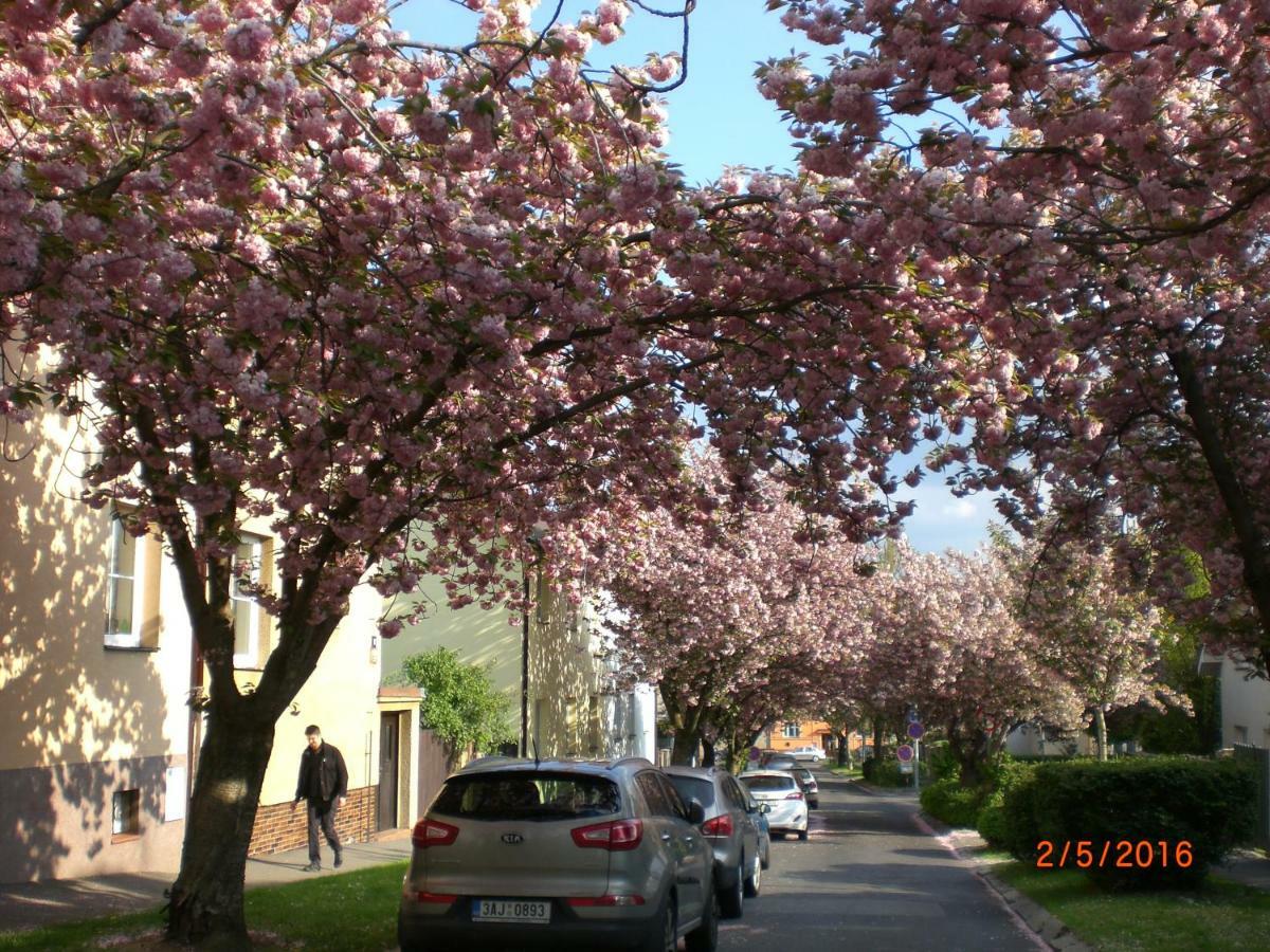 Kalik Gasthof 2*