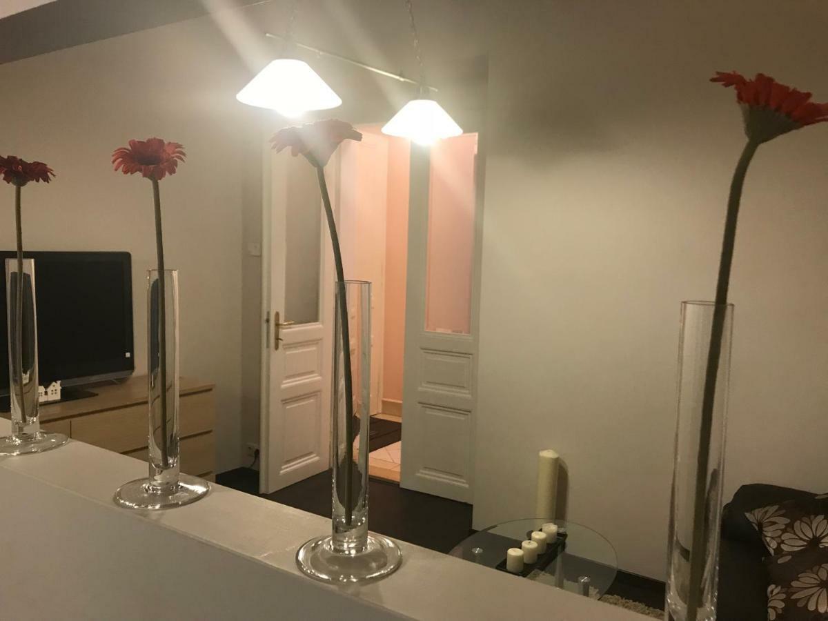 Apartment Near The Charles Bridge