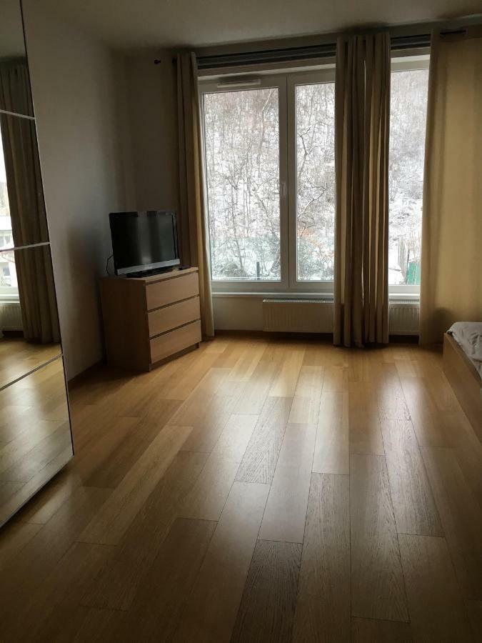 Apartment Botic Prague