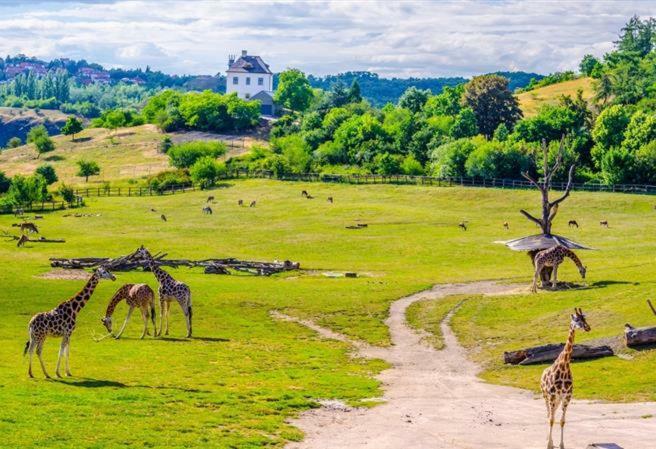Lovely Apartment, Garden, Parking, Wifi, Netflix Prag