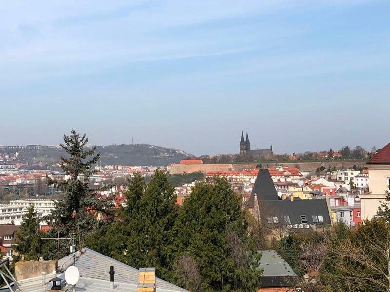 Homestay In Prague-big+comfy Prague