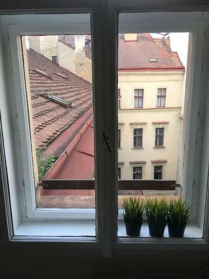 Apartment Hybernska 22