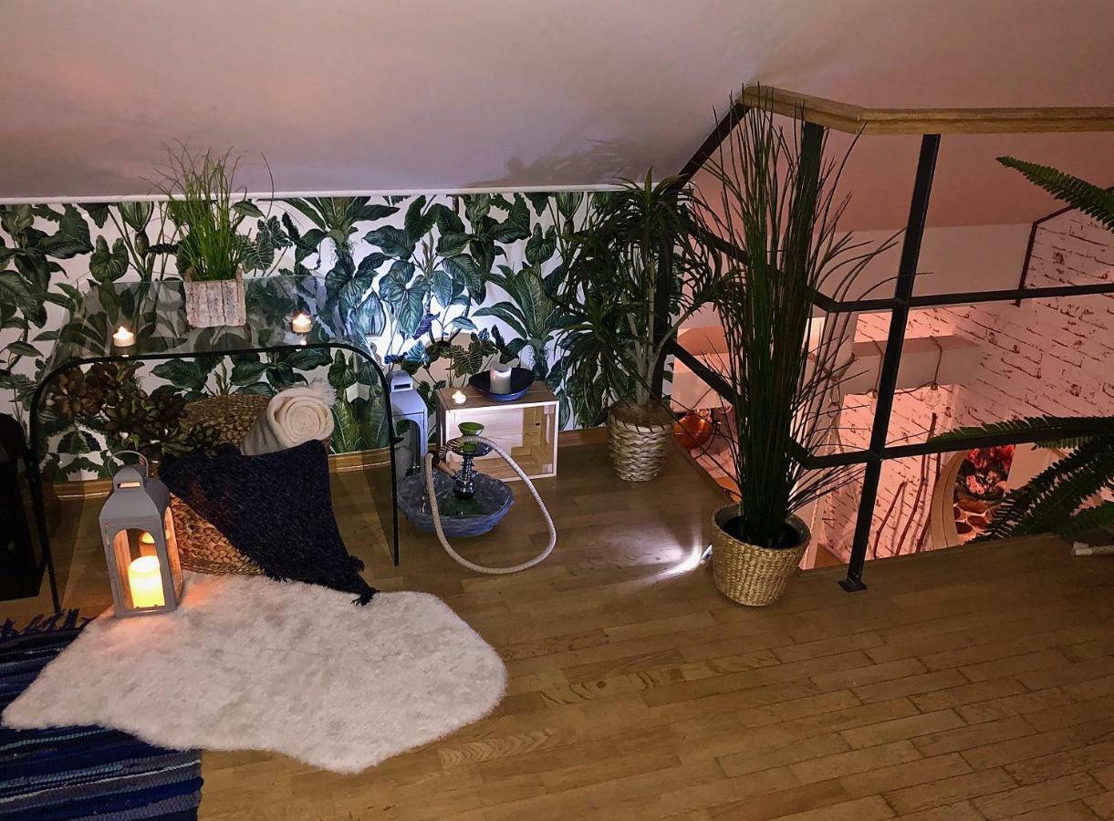 Duplex With Quite Terrace On Wenceslas Sq. Prague