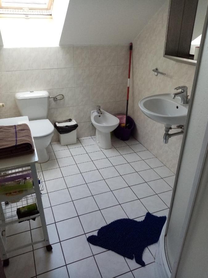 Homestay Savojska Prague
