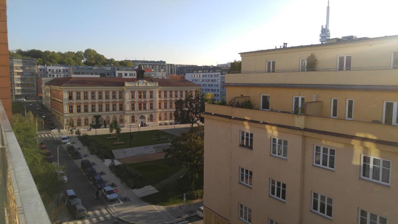 Vitkov Park Apartment