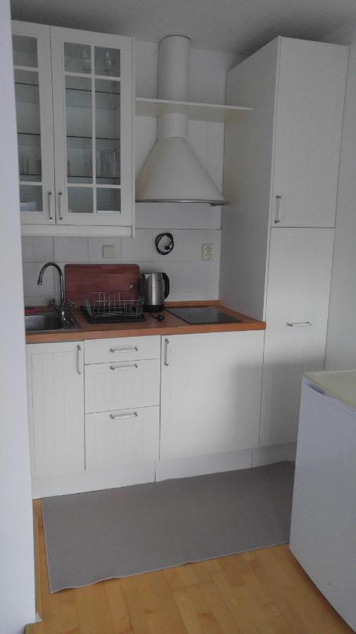 Vitkov Park Apartment