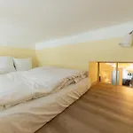 Historic Apartment