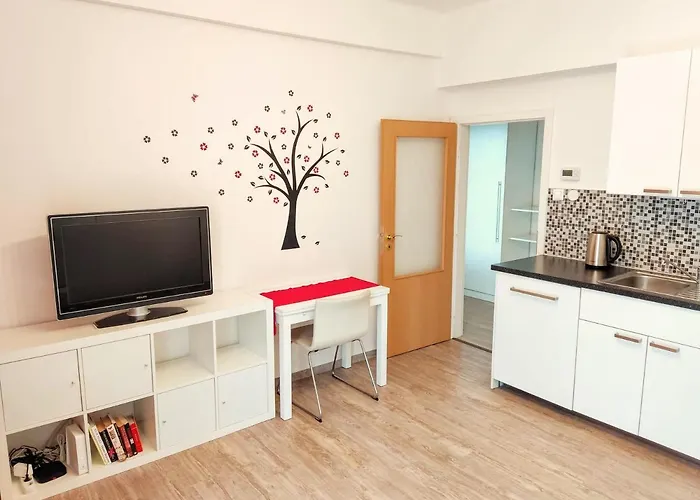 Apartment Zizkov
