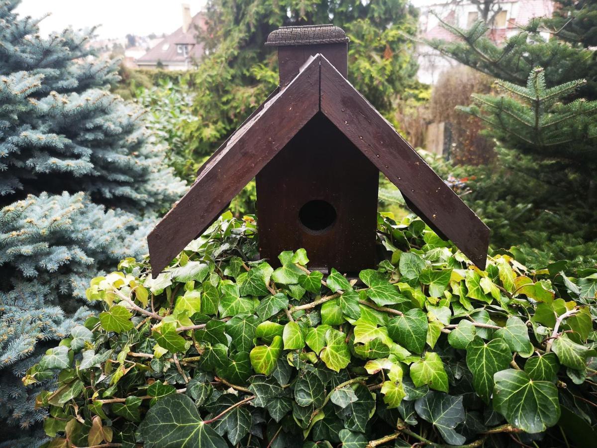 Hanspaulka Garden * Prag