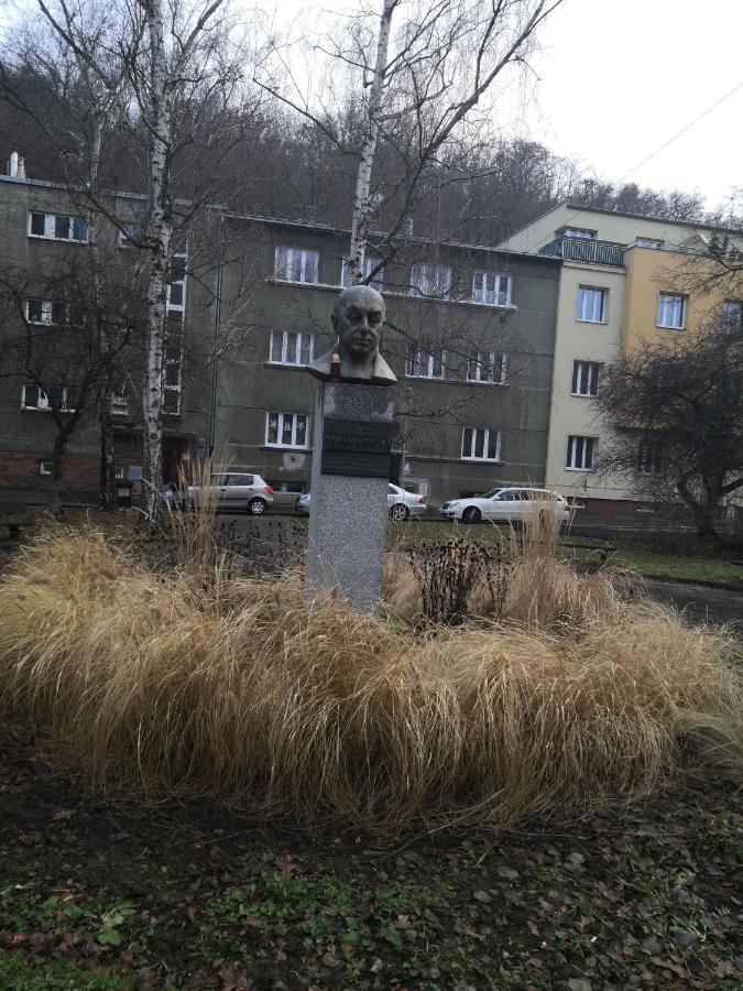 Economy Flat 18 Minutes From Vaclavske Namesti Apartment *