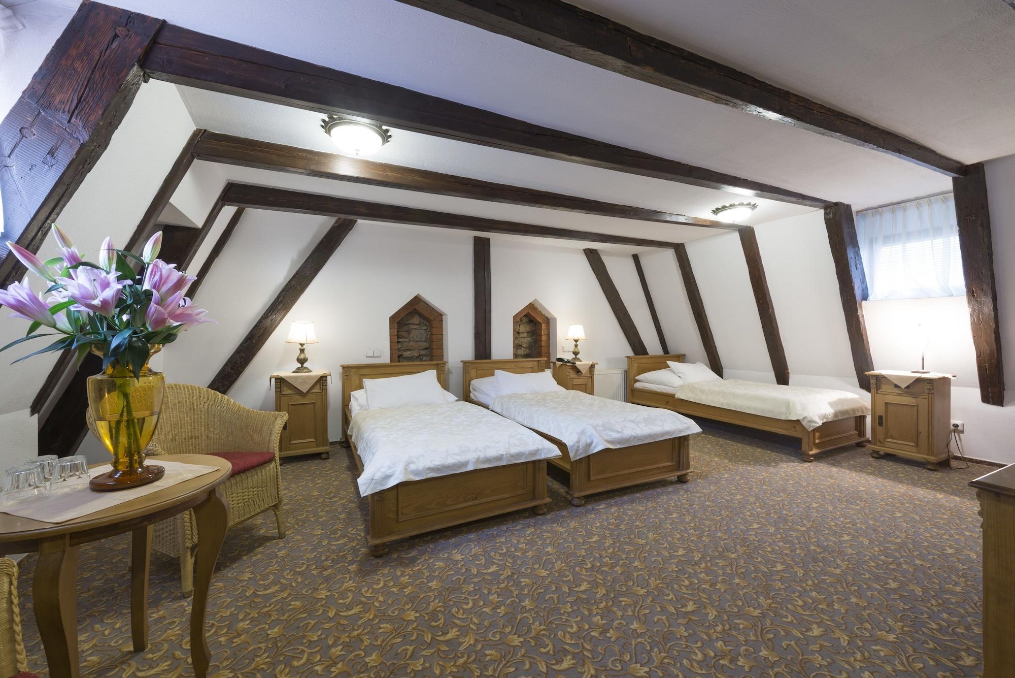 Hotell Cerny Slon 4*
