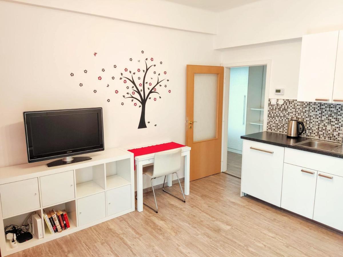 Apartment Zizkov Prag