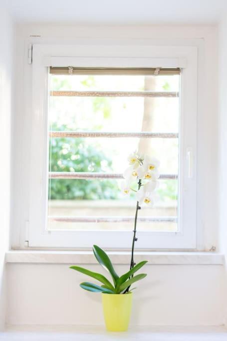 Cozy Basement Flat, Skyshowtime, 3 Minutes To Center *