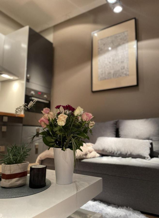 Luxury Beautiful Spacious In Perfect Location Apartment Prag