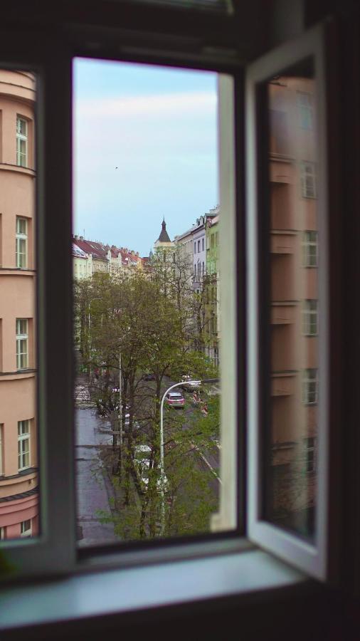 Luxury Beautiful Spacious In Perfect Location Apartment