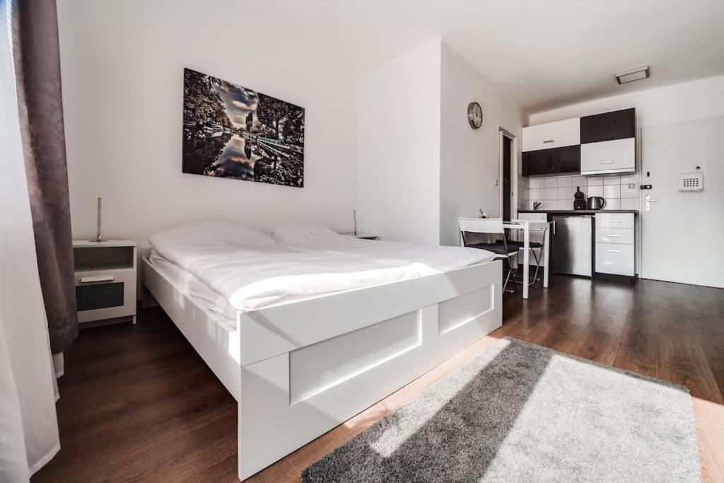 Floor With Terrace Apartmán Praha