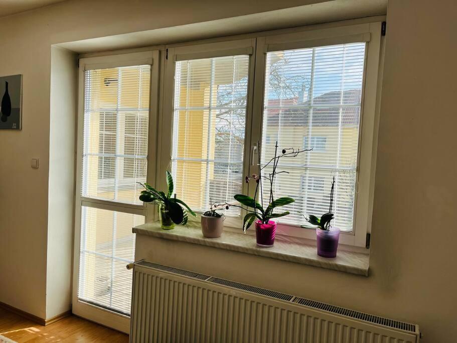 Harrison Homes 01 * Prag
