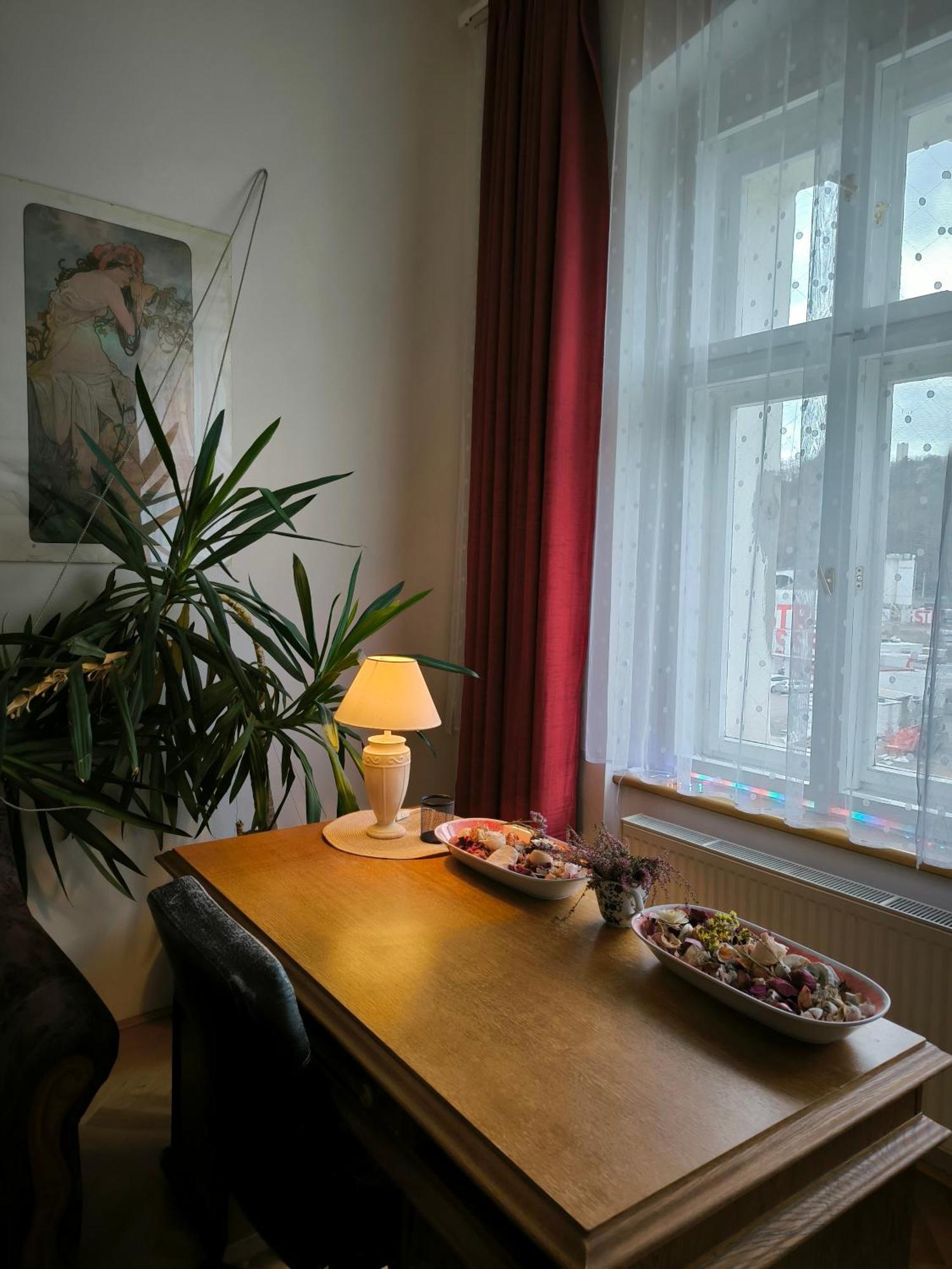 Lejlighed Valentinka Minutes Away From Charles Bridge *