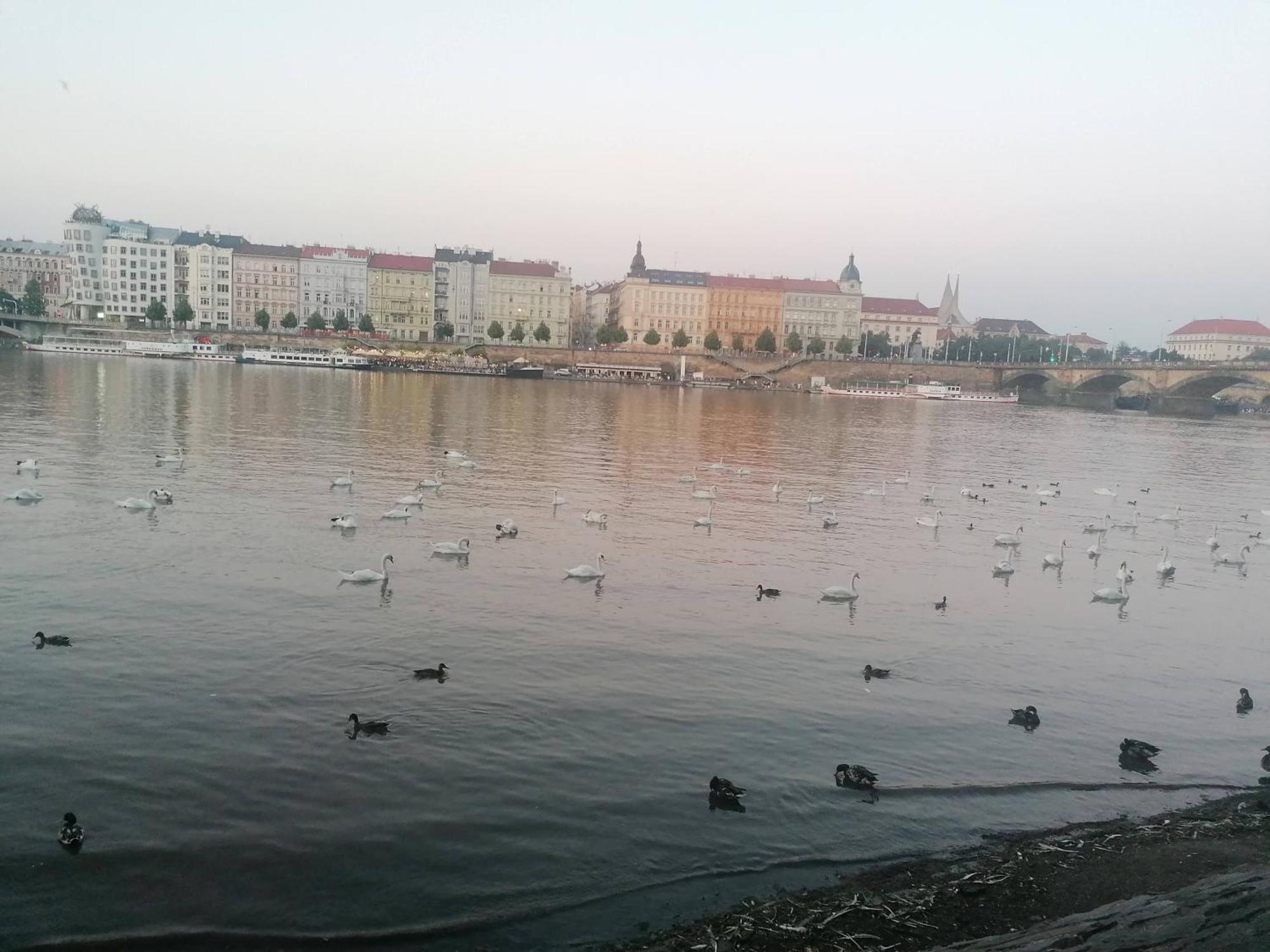 Valentinka Minutes Away From Charles Bridge *