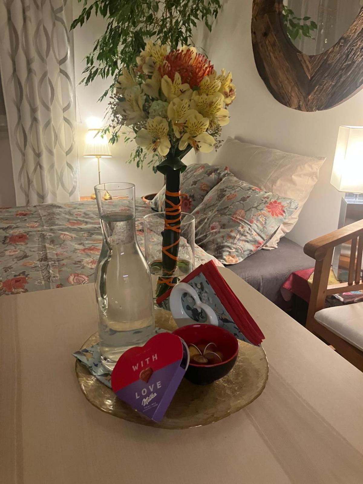 Apartment Pripotocni