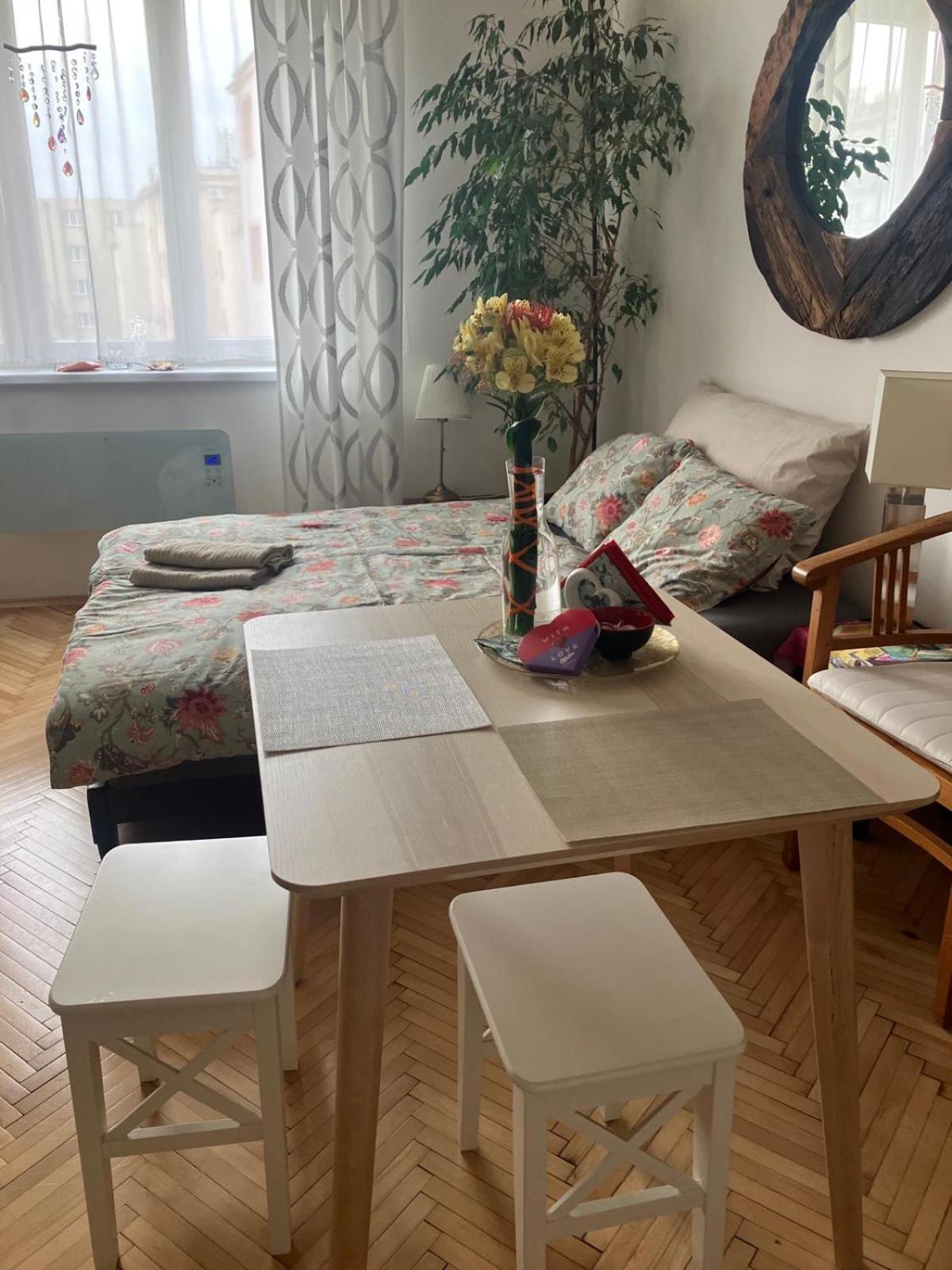 Apartment Pripotocni *