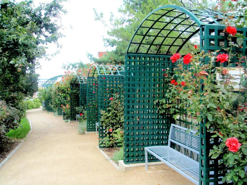 Modern Riegrovy Sady Apartment *