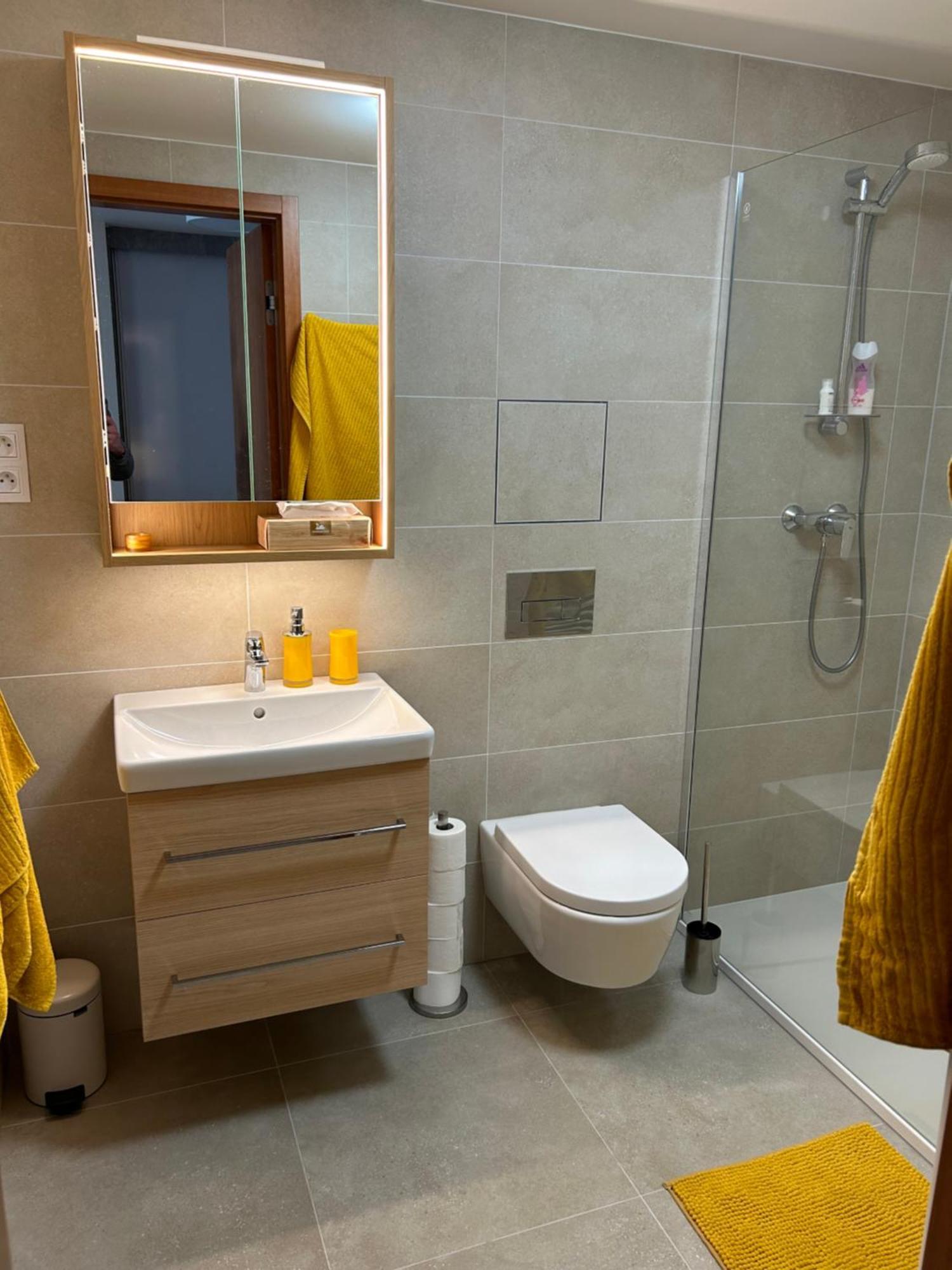 Apartment Smichov Andel
