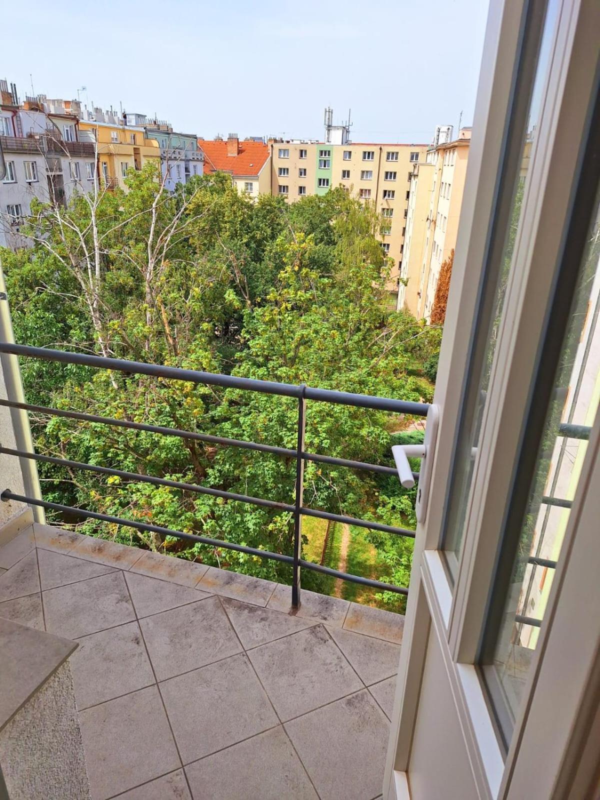 Apartment Pripotocni
