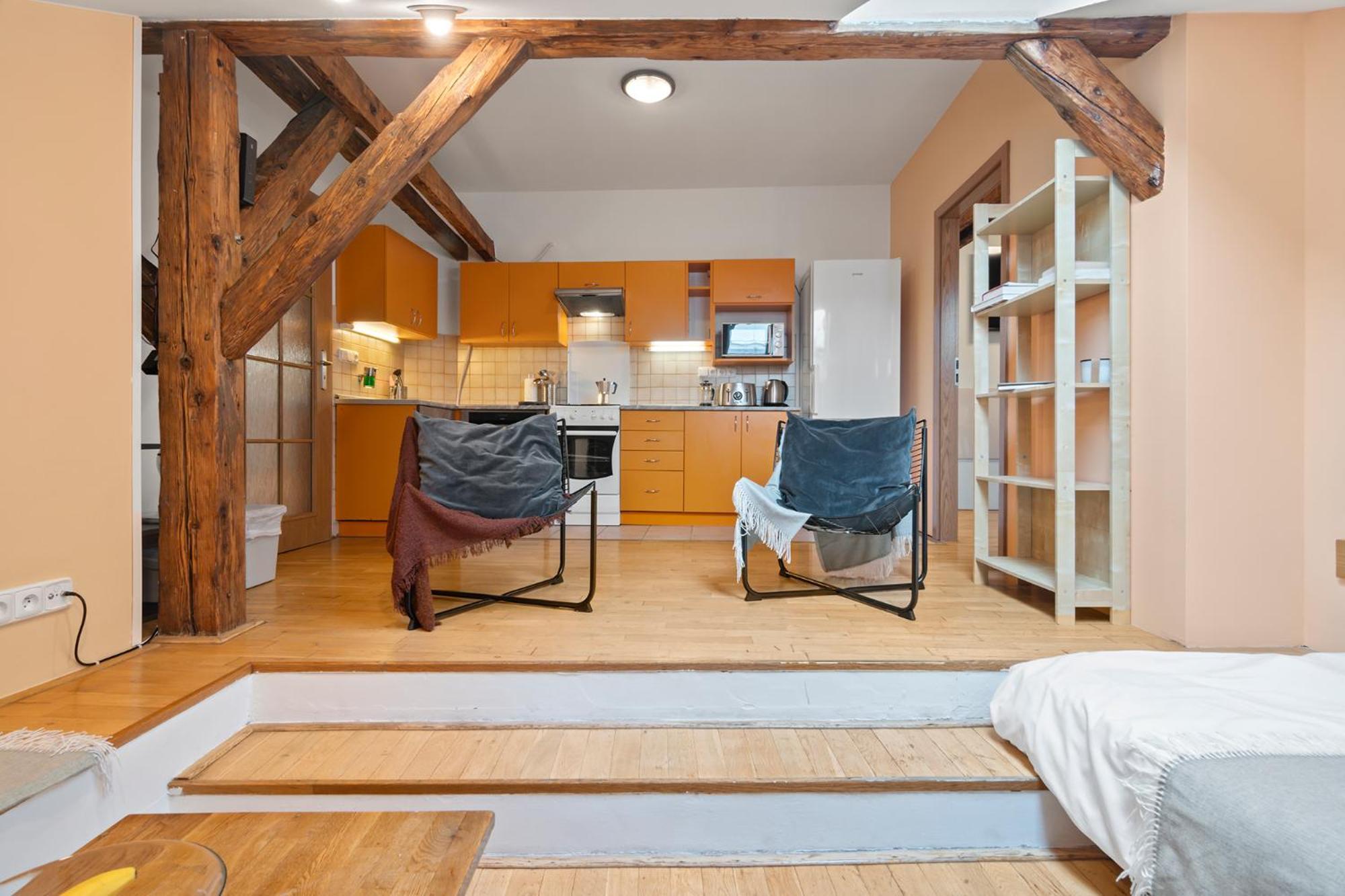 Vintage Apts In Heart Of By Michal&friends Apartment