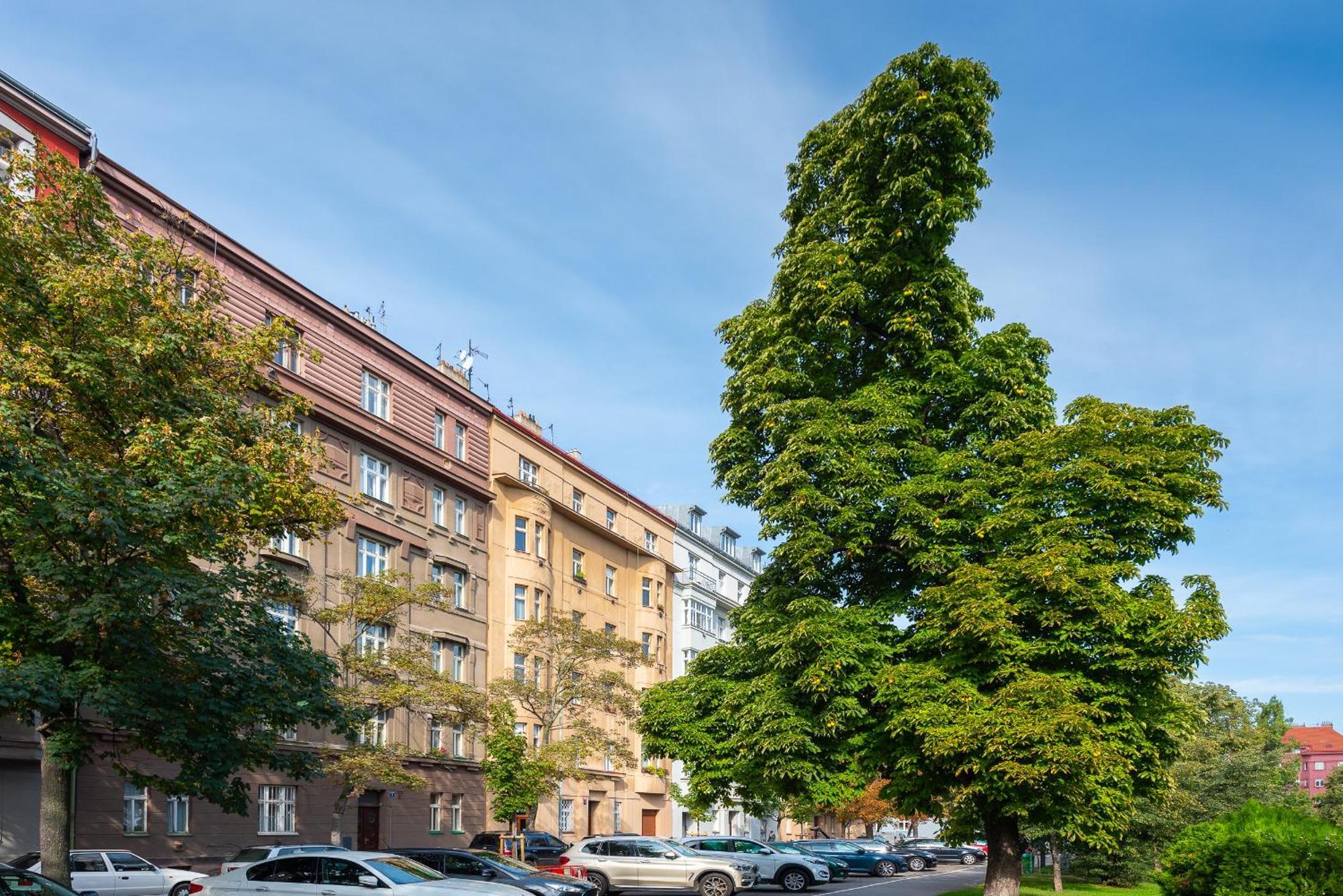 *sunny And Stylish* With Balcony Near Tv Tower Lägenhet *