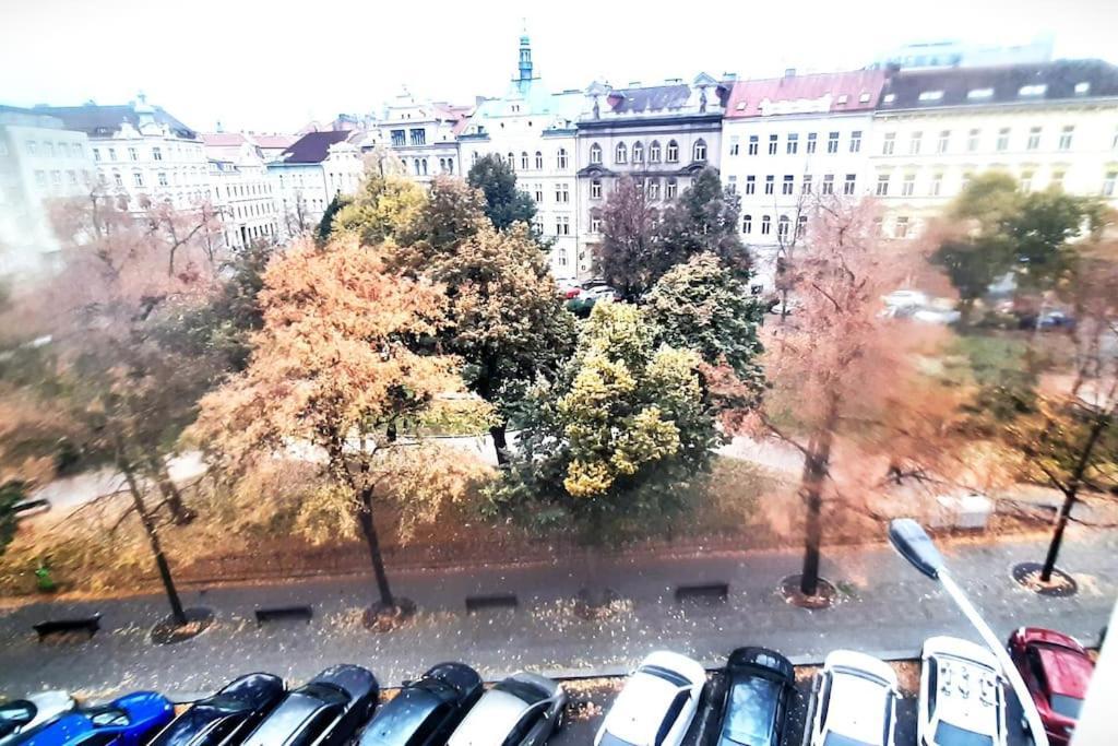 Arbes Apartment