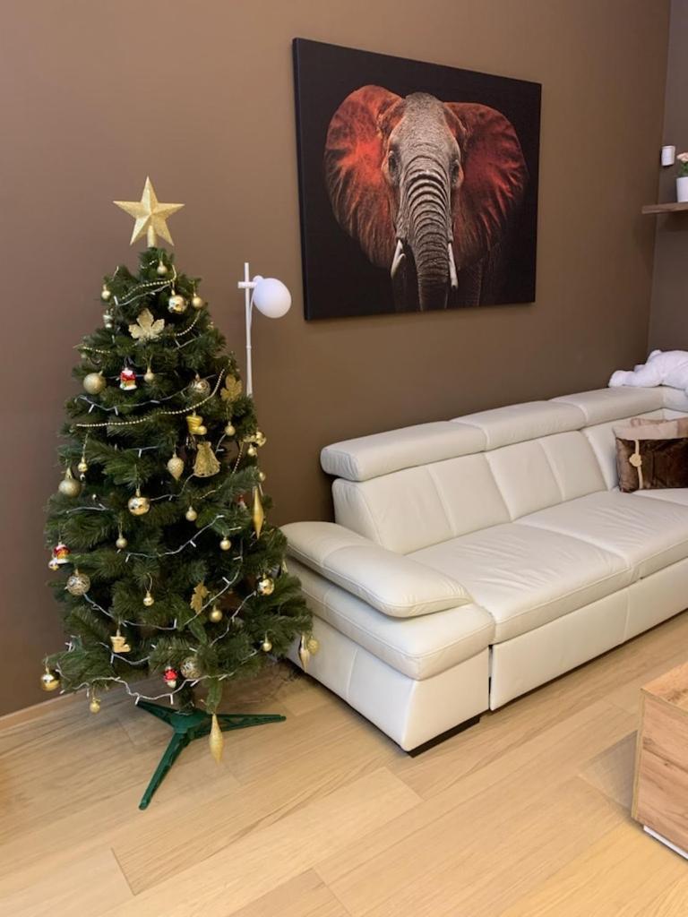 Apartment Dagmar Buresove