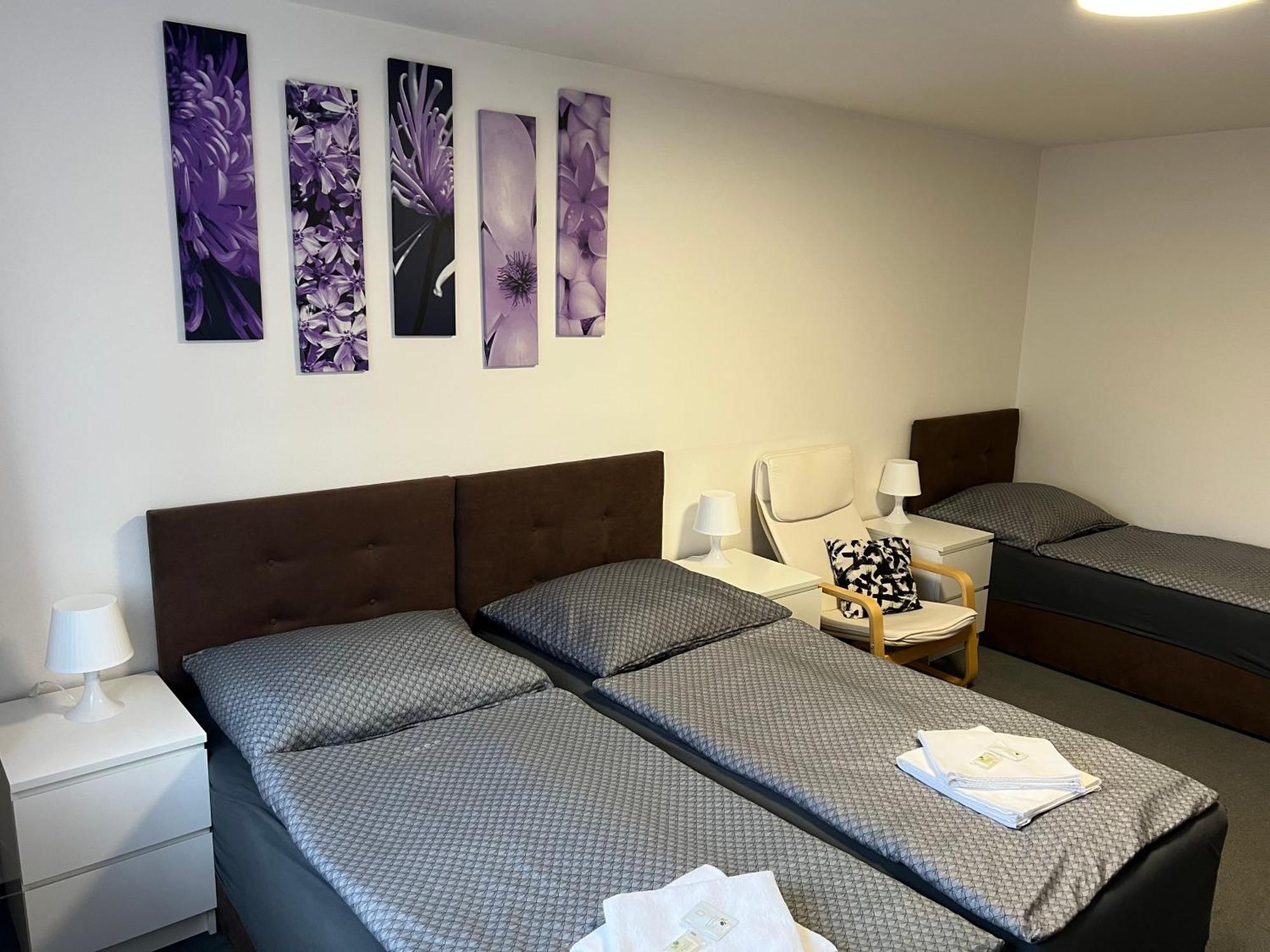Hajek Guest house