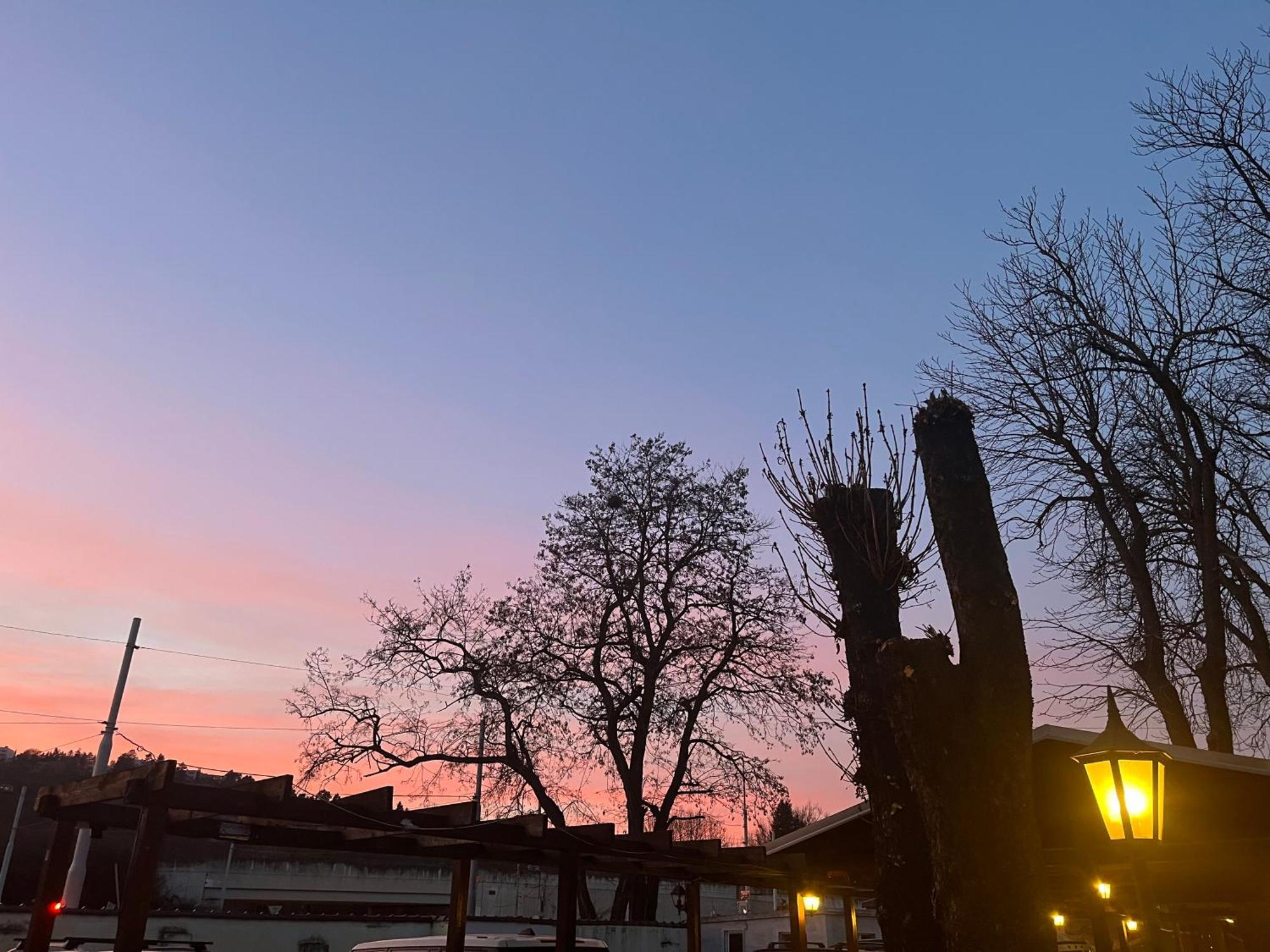 Branik Hotel 3*