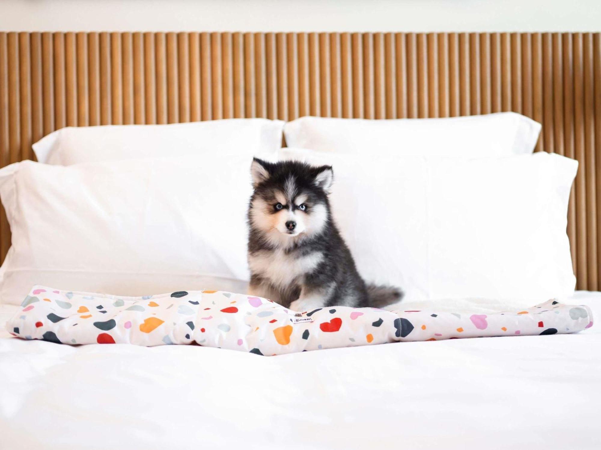 Hotell Mama Shelter Prag