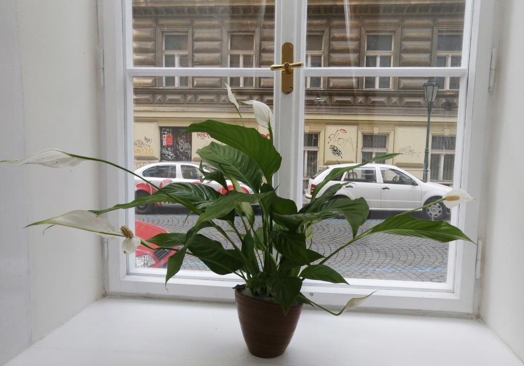 Greg Kampa Apartmán Praha