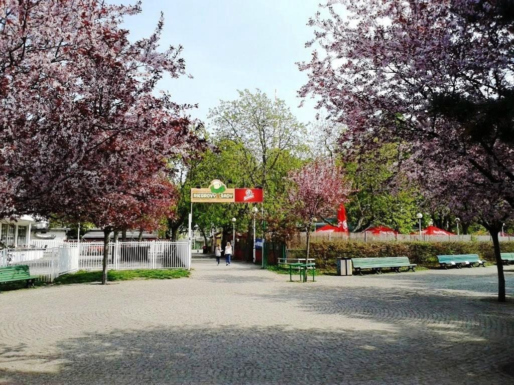 Modern Riegrovy Sady *
