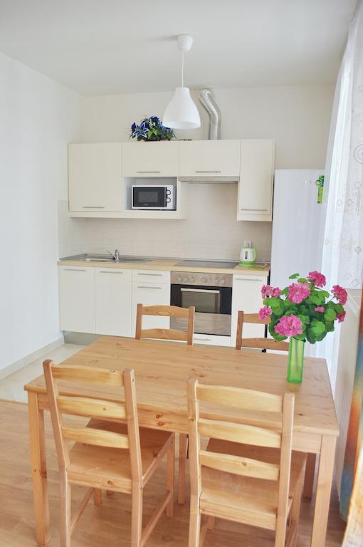 Bright Spacious Apartment Prag