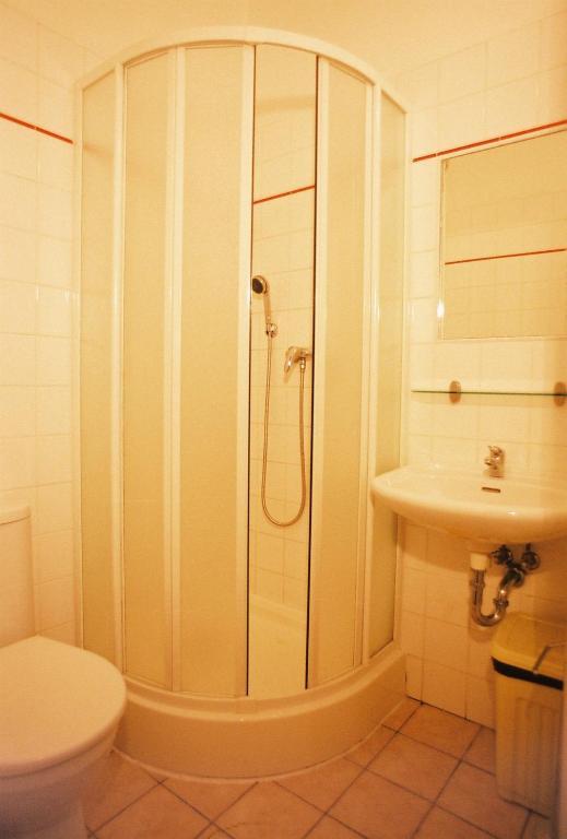 U Zlateho Konicka / The Golden Horse House 3*