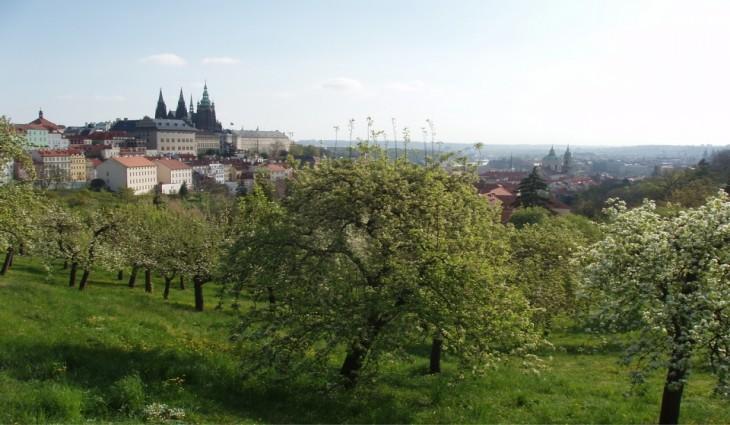 Lägenhet Nebozizek A Restaurant Prag
